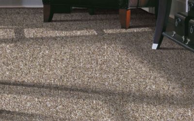 Empresa de lavado de alfombras en Bogota