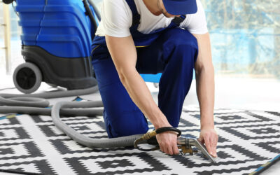Tu mejor opción para la limpieza de alfombras a domicilio