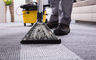 Empresa de limpieza de alfombras: calidad y cuidado en cada servicio