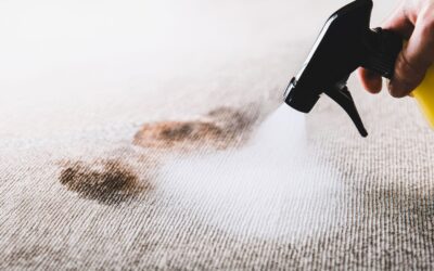 Precios limpieza de alfombras: ¡Cotiza calidad hoy mismo!