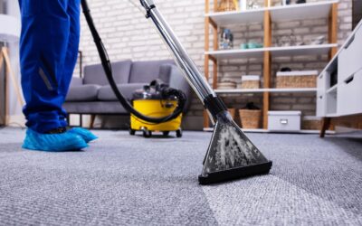 Recogida y entrega alfombras: ¡Comodidad total en Bogotá!